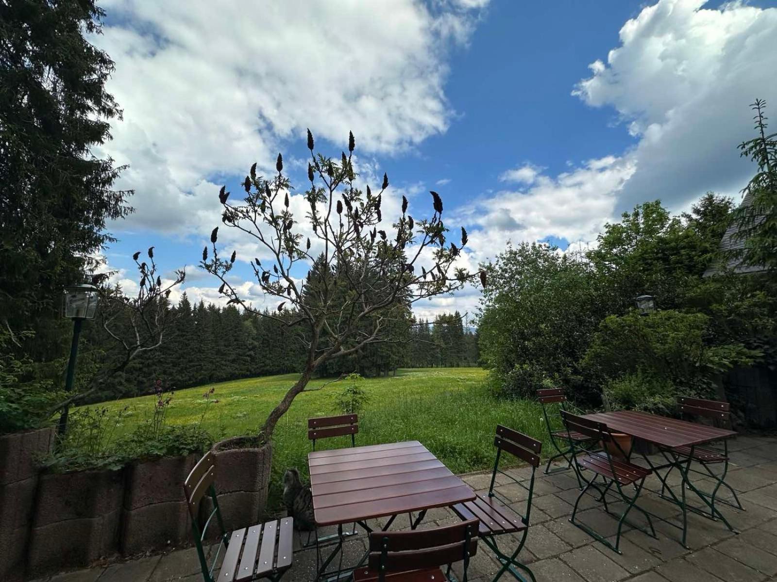 Waldhotel Zoebischhaus Bad Reiboldsgruen ภายนอก รูปภาพ