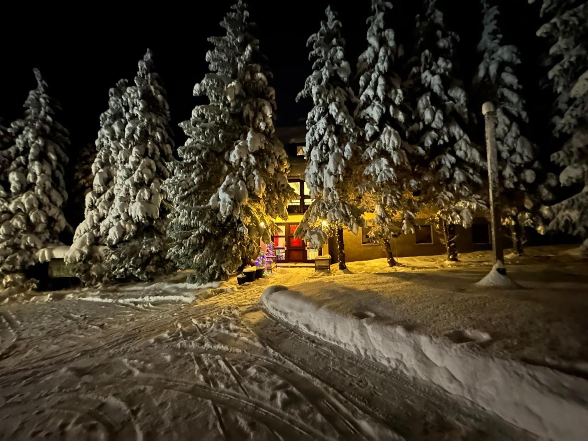 Waldhotel Zoebischhaus Bad Reiboldsgruen ภายนอก รูปภาพ