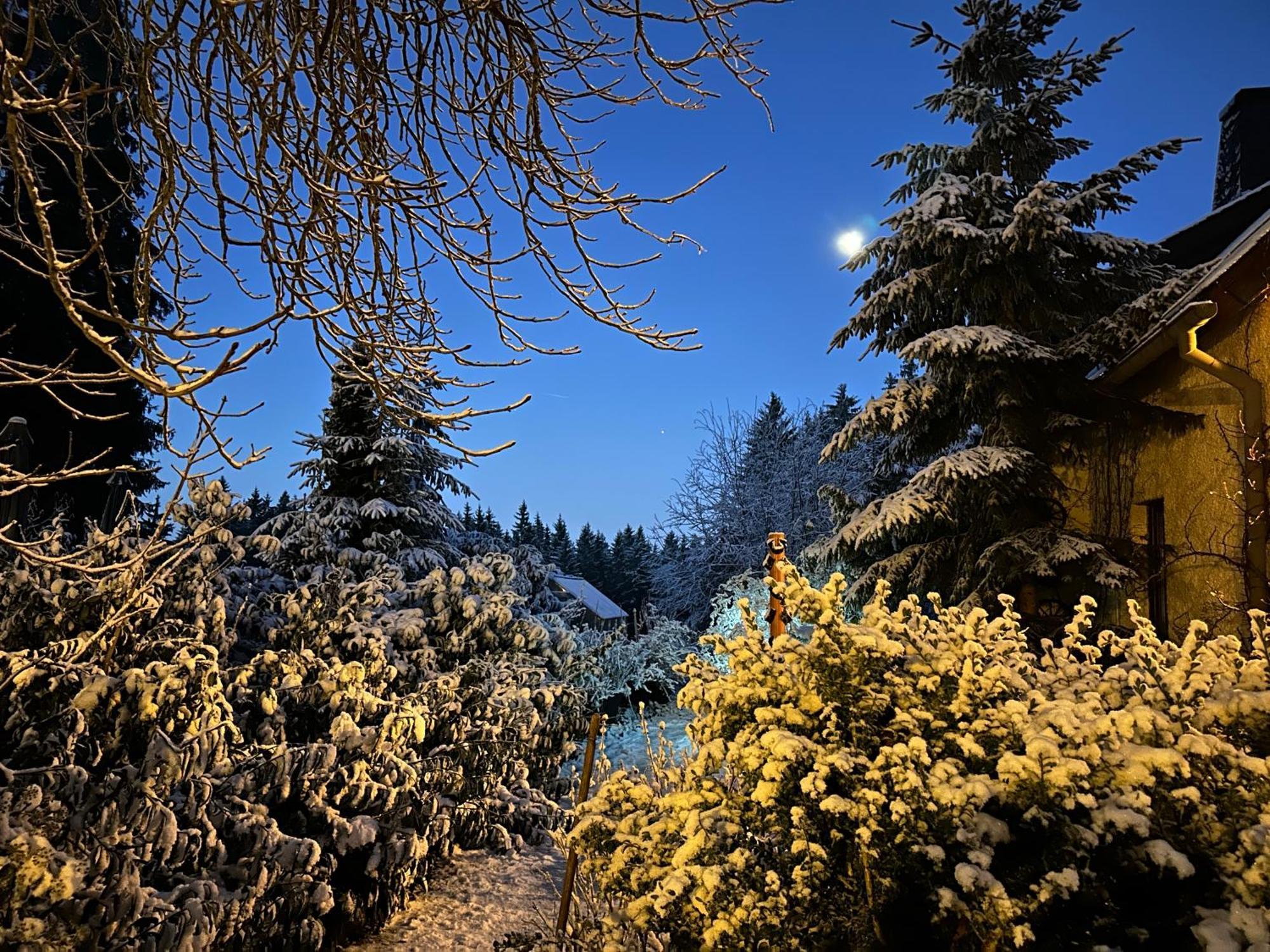 Waldhotel Zoebischhaus Bad Reiboldsgruen ภายนอก รูปภาพ
