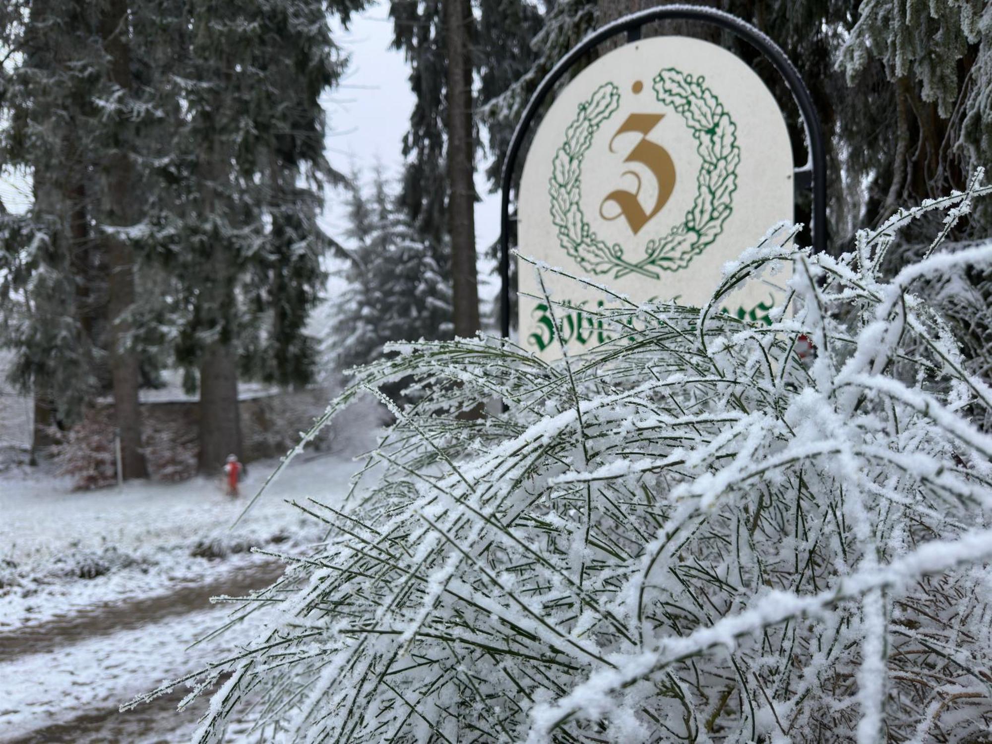 Waldhotel Zoebischhaus Bad Reiboldsgruen ภายนอก รูปภาพ