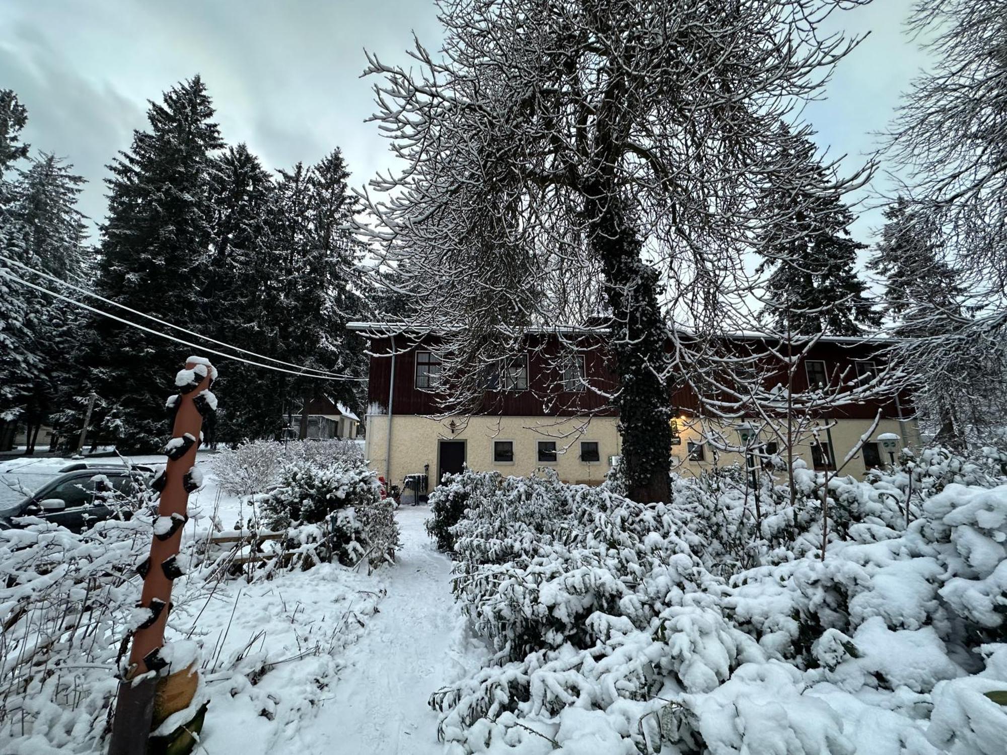 Waldhotel Zoebischhaus Bad Reiboldsgruen ภายนอก รูปภาพ