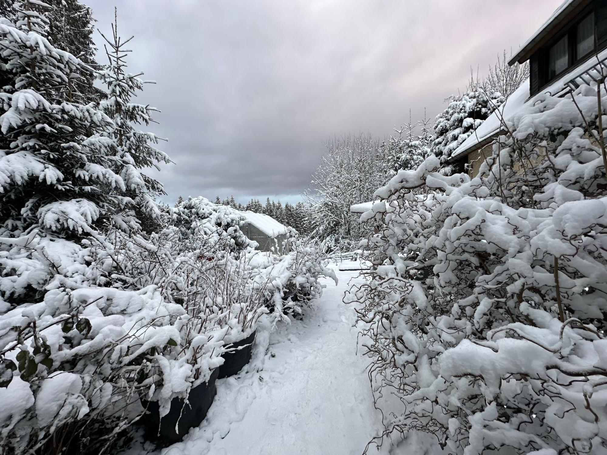 Waldhotel Zoebischhaus Bad Reiboldsgruen ภายนอก รูปภาพ
