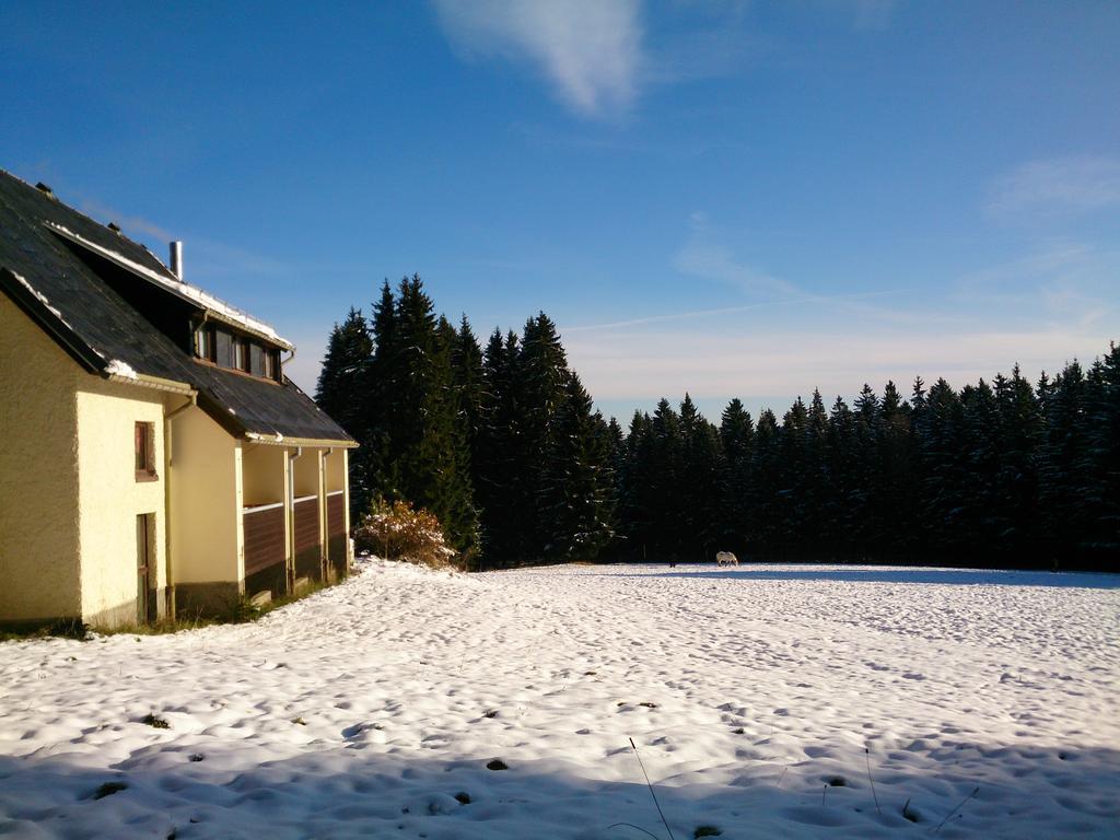 Waldhotel Zoebischhaus Bad Reiboldsgruen ภายนอก รูปภาพ