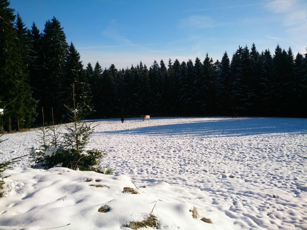 Waldhotel Zoebischhaus Bad Reiboldsgruen ภายนอก รูปภาพ