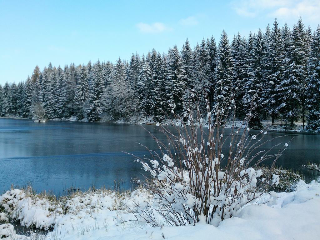 Waldhotel Zoebischhaus Bad Reiboldsgruen ภายนอก รูปภาพ
