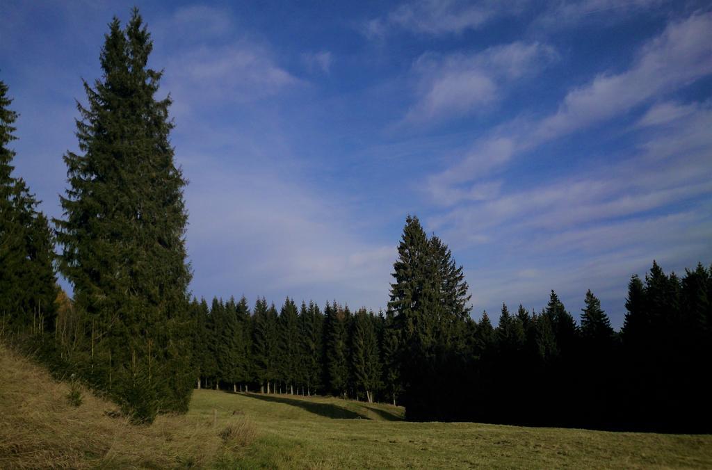 Waldhotel Zoebischhaus Bad Reiboldsgruen ภายนอก รูปภาพ