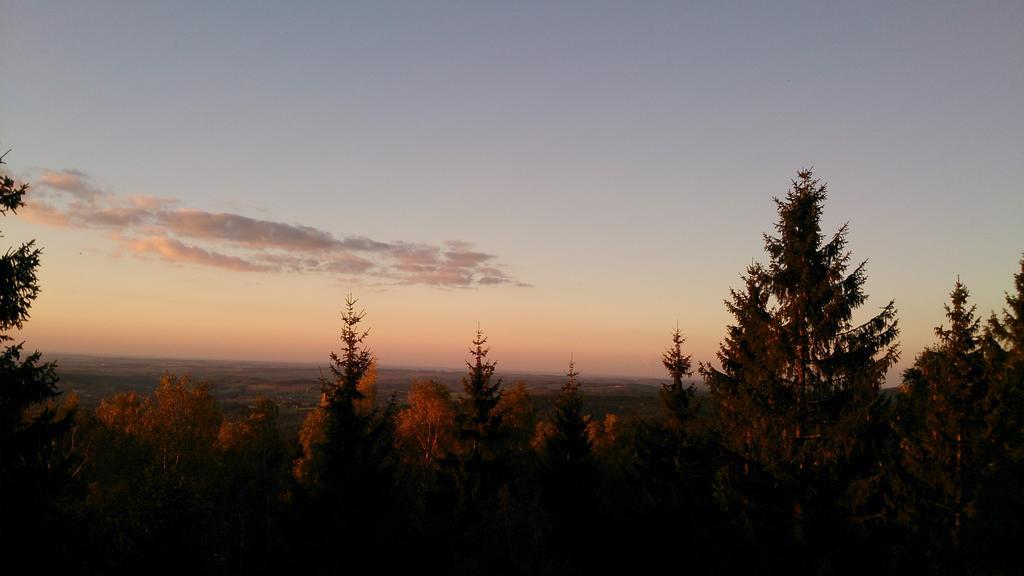 Waldhotel Zoebischhaus Bad Reiboldsgruen ภายนอก รูปภาพ